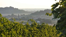 Winery