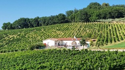 Winery