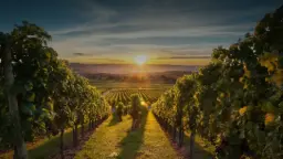 Winery