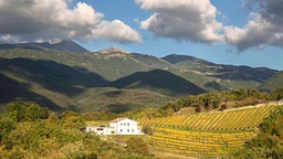 Winery