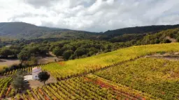 Winery