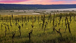 Winery