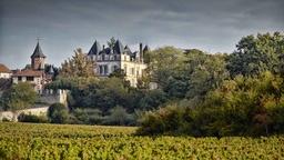 Winery