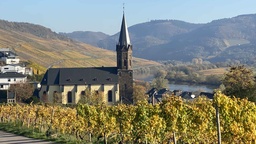Winery