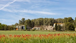 Winery