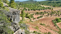 Winery
