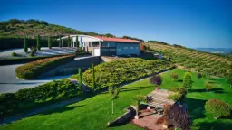 Winery