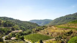 Winery