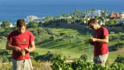Winery