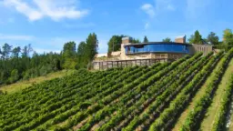 Winery