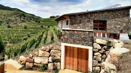Winery