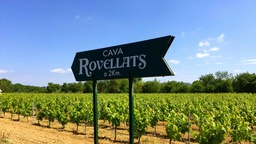 Winery
