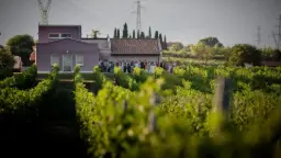 Winery