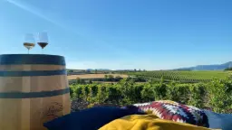 Winery
