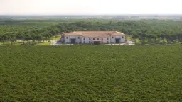 Winery