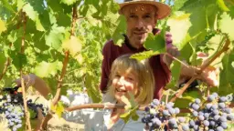 Winery
