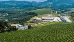 Winery