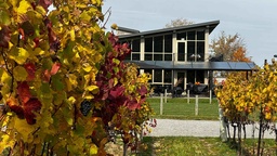 Winery