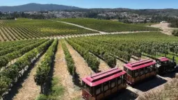 Winery