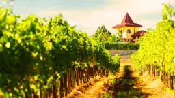 Winery