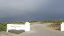 Winery