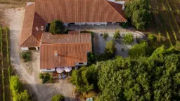 Winery