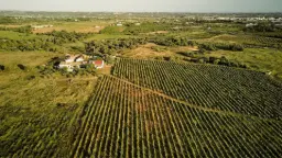 Winery