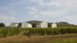 Winery