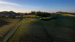 Winery