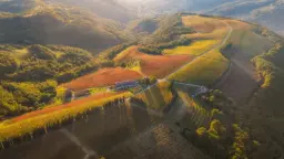 Winery