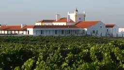 Winery