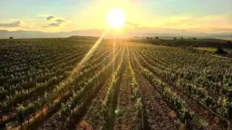 Winery