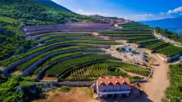 Winery