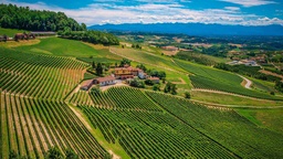 Winery