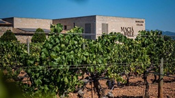 Winery