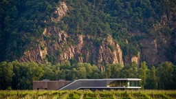 Winery