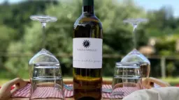 Winery