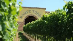 Winery