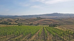 Winery