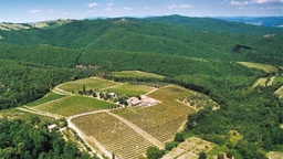 Winery