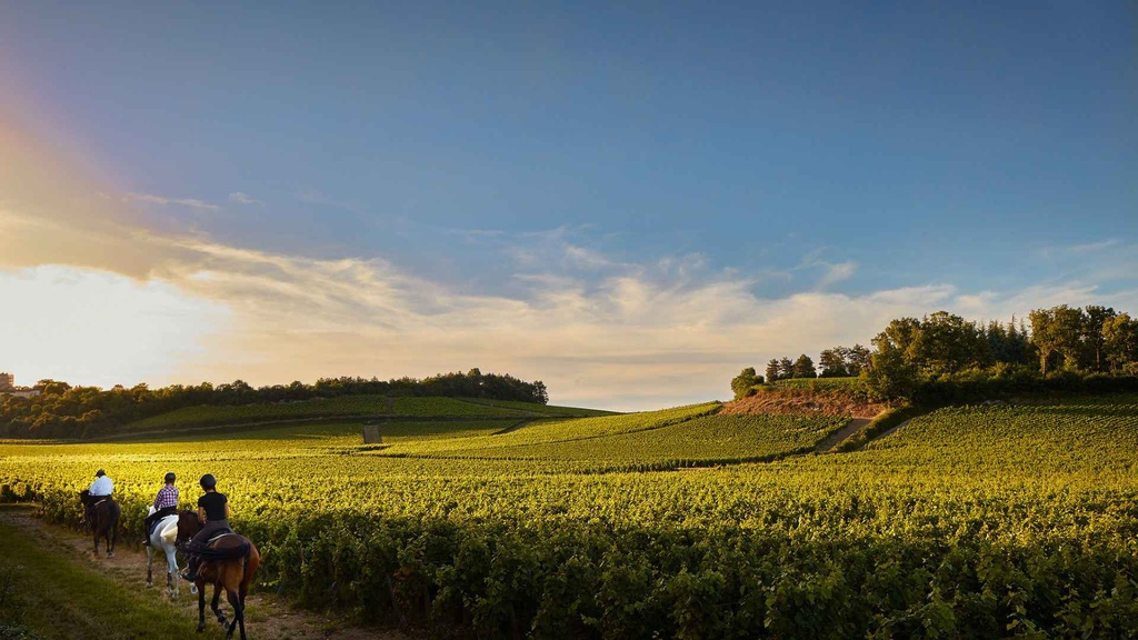 Chateau de Chamirey