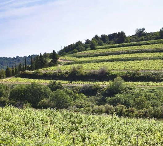 Chateau des Coccinelles