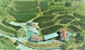 Markovic vineyards, banner img.jpg