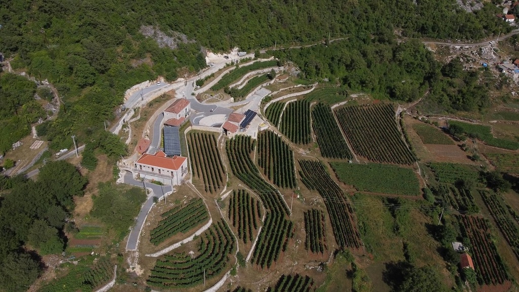 Vinarija Markovic 13.jpg