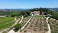 Filigare_2_optimized_500.jpg