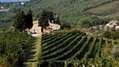 castellina w1.jpg