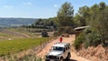 joan segura pujadas, winery3.jpg