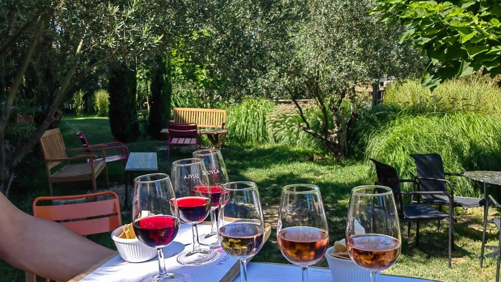 Suvla wines, wine tasting experience.jpg