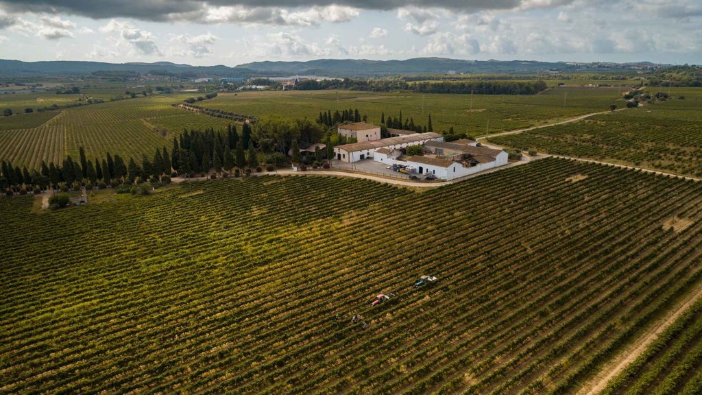 Cava Oriol Rossell