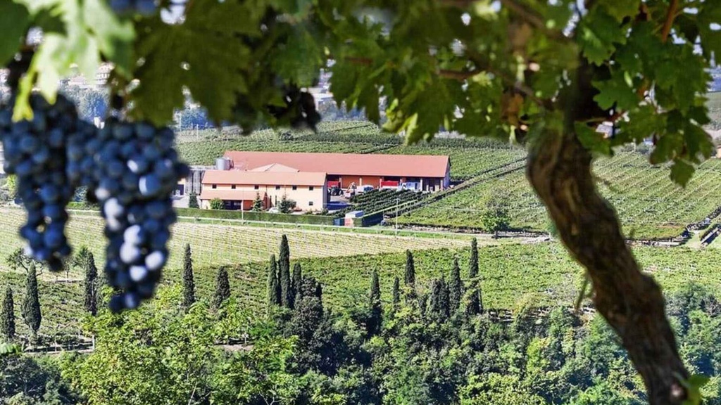 SocietaÌ Agricola Rino Sartori.jpg